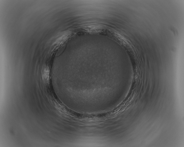 X0000113951108200909251333