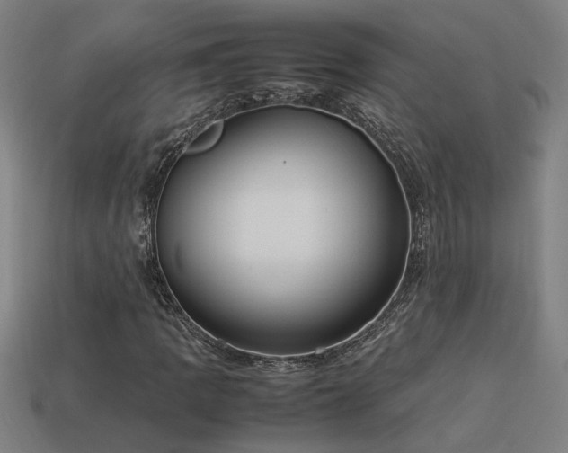 X0000113951109200909251333