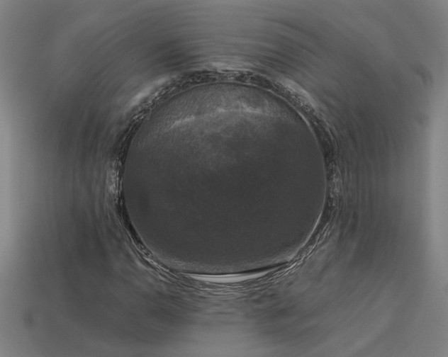 X0000113951110200909251333