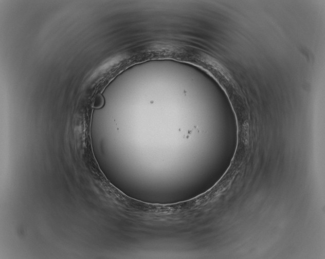 X0000113951111200909251333