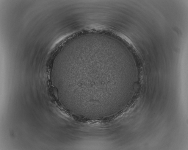 X0000113951112200909251333