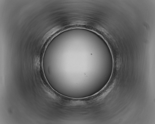 X0000113951113200909251333