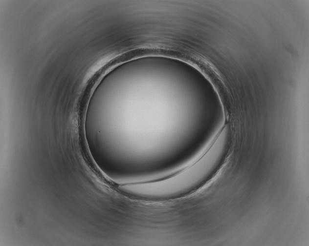 X0000113951114200909251333