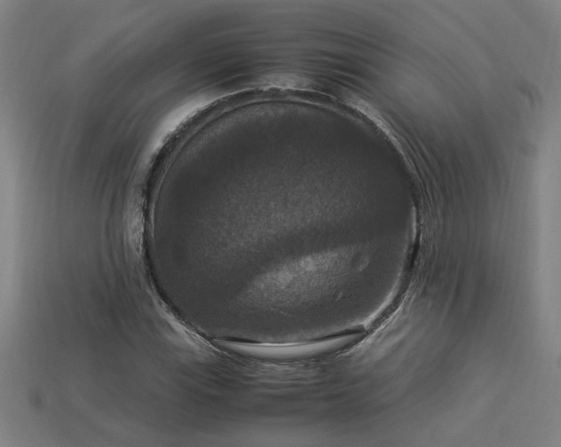 X0000113951115200909251333