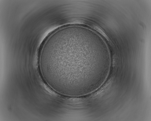 X0000113951116200909251333