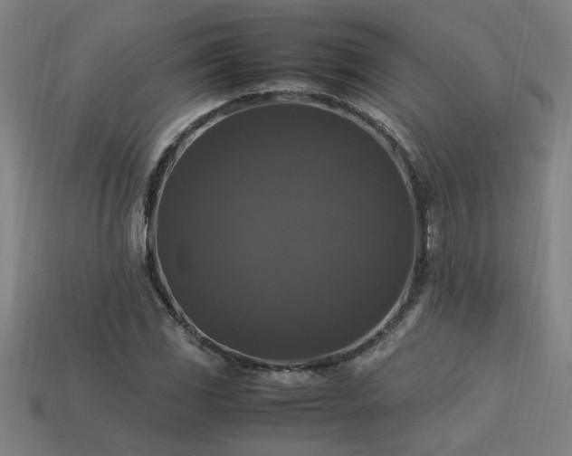 X0000113951117200909251333