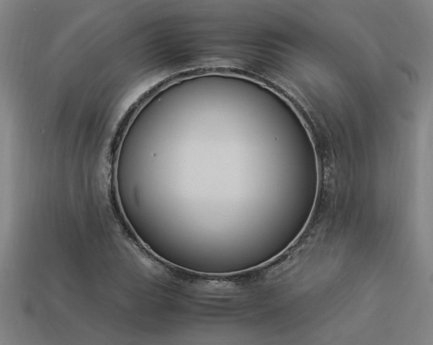 X0000113951119200909251333