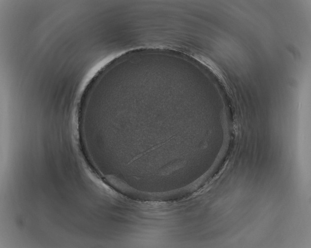 X0000113951120200909251333