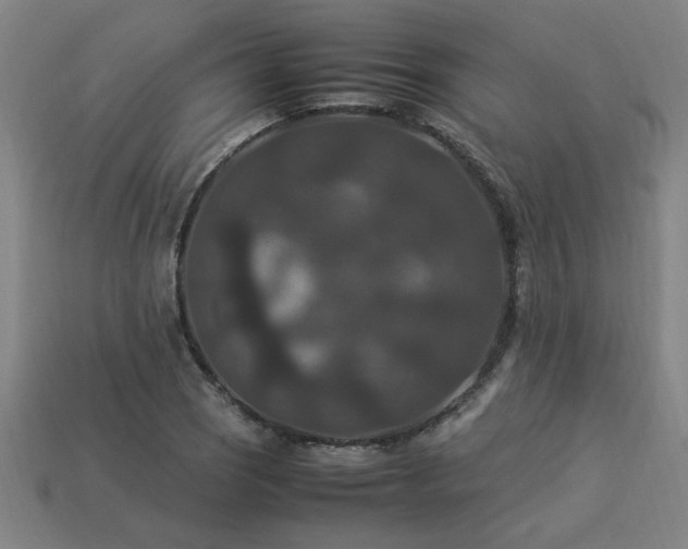 X0000113951121200909251333