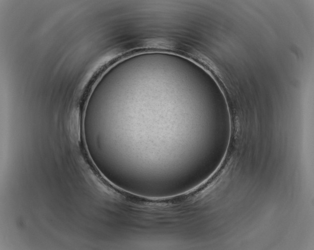 X0000113951123200909251333
