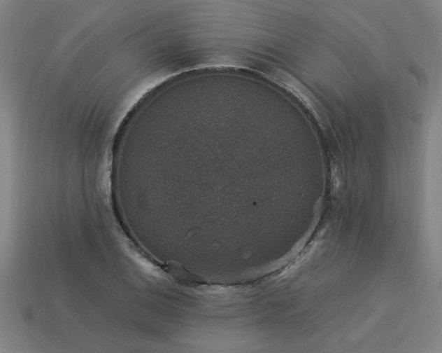 X0000113951124200909251333