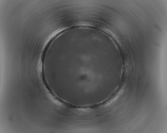 X0000113951125200909251333