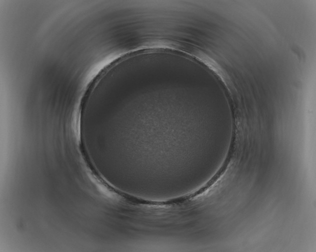 X0000113951127200909251333