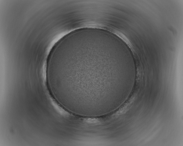 X0000113951128200909251333