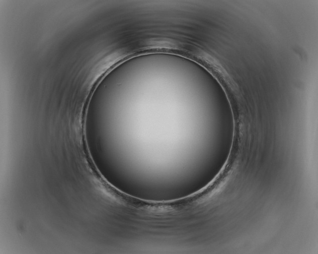 X0000113951129200909251333