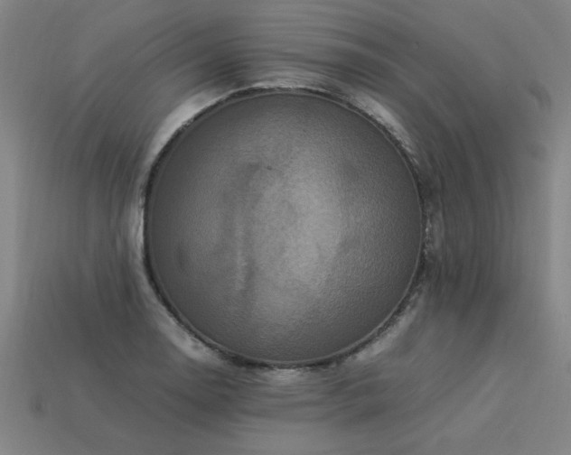 X0000113951130200909251333