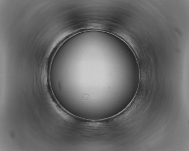 X0000113951131200909251333