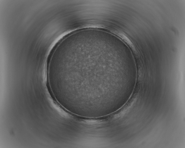 X0000113951132200909251333