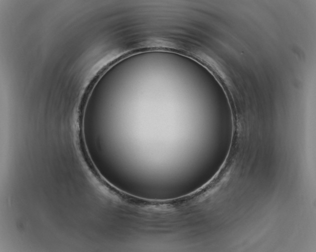 X0000113951133200909251333