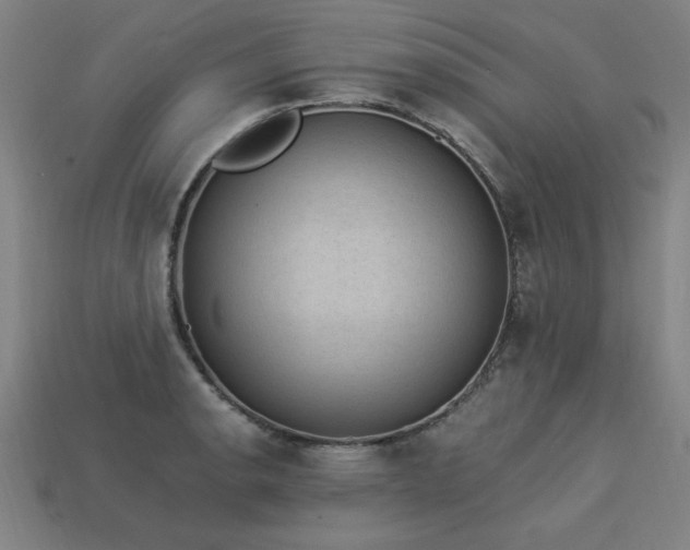 X0000113951134200909251333