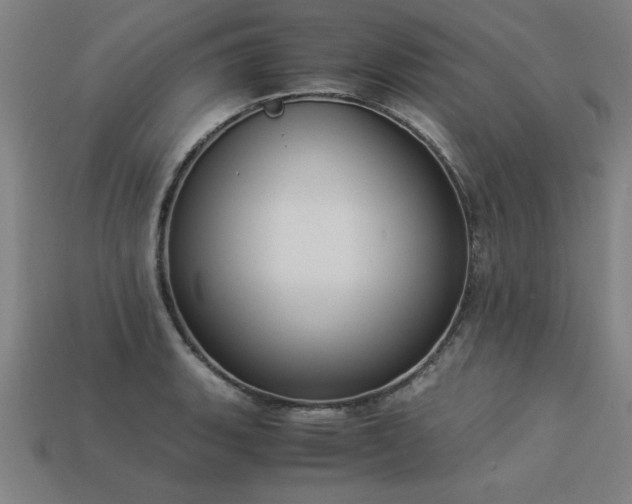 X0000113951135200909251333