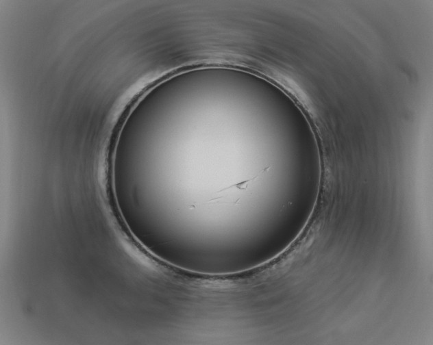 X0000113951136200909251333
