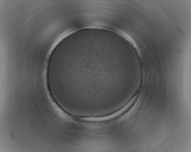 X0000113951138200909251333
