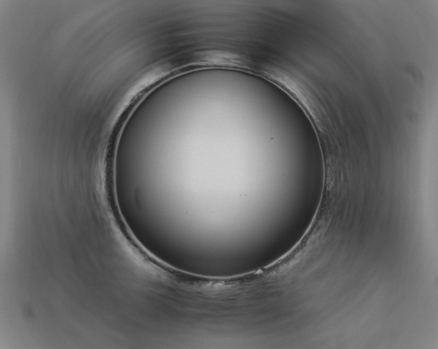 X0000113951139200909251333