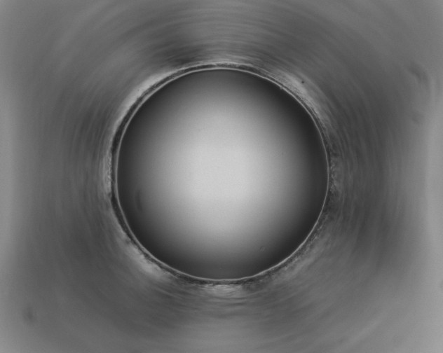 X0000113951140200909251333