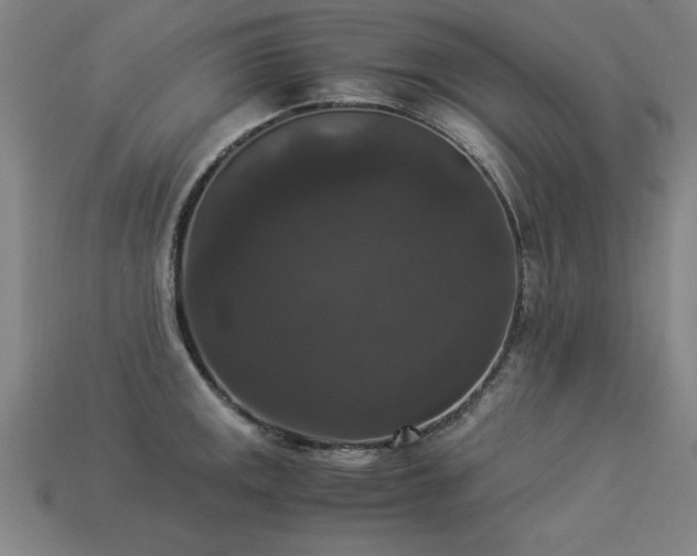 X0000113951141200909251333