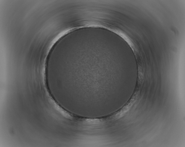 X0000113951142200909251333
