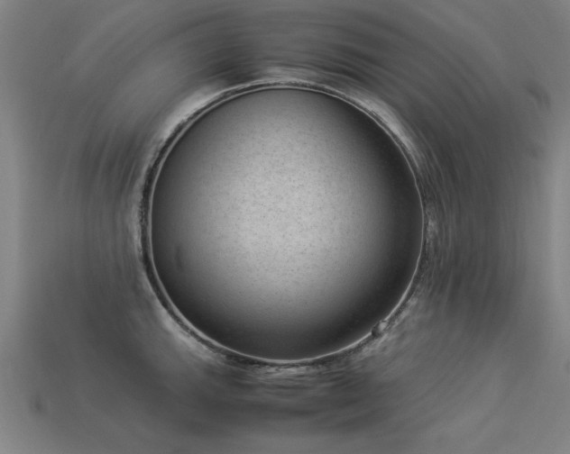 X0000113951143200909251333