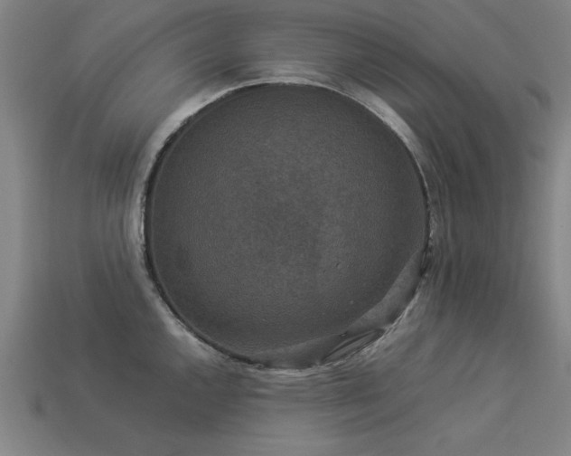 X0000113951144200909251333