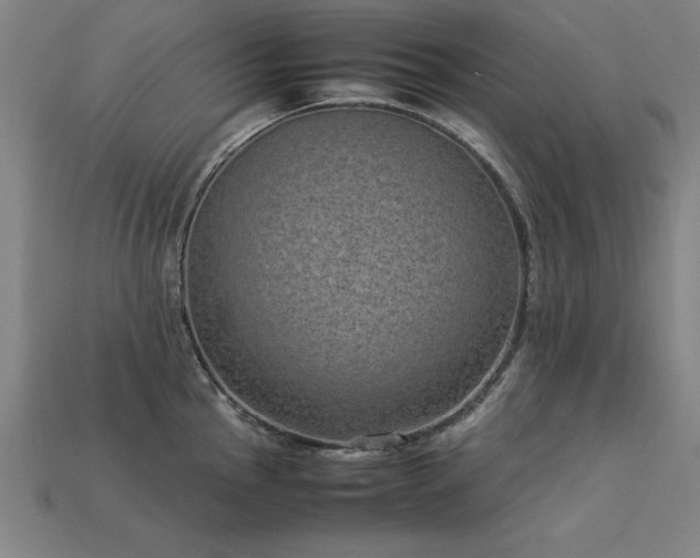 X0000113951145200909251333