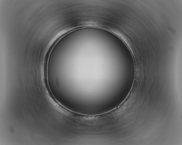 X0000113951147200909251333
