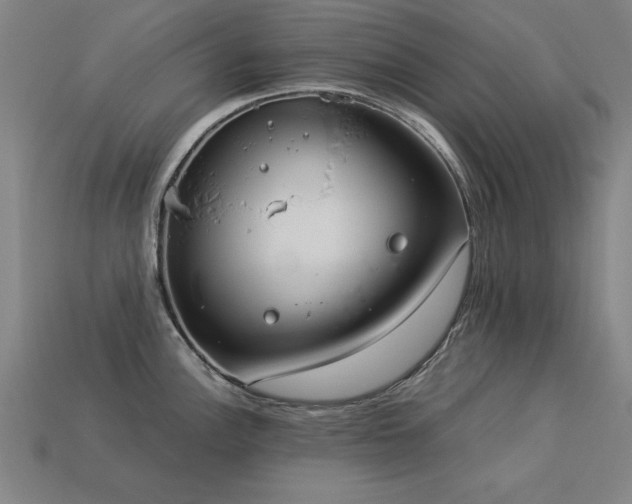 X0000113951148200909251333