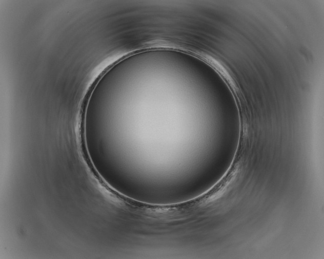 X0000113951149200909251333
