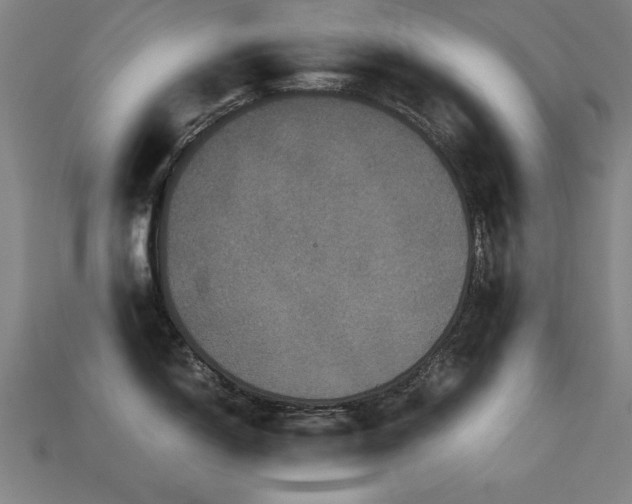 X0000113951150200909251333