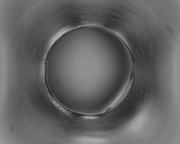 X0000113951151200909251333