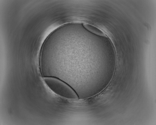 X0000113951152200909251333