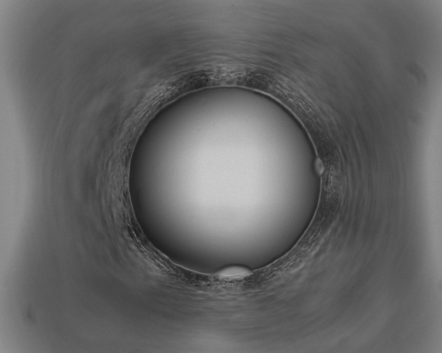 X0000113951153200909251333