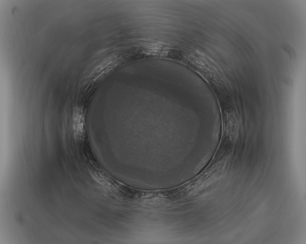 X0000113951154200909251333