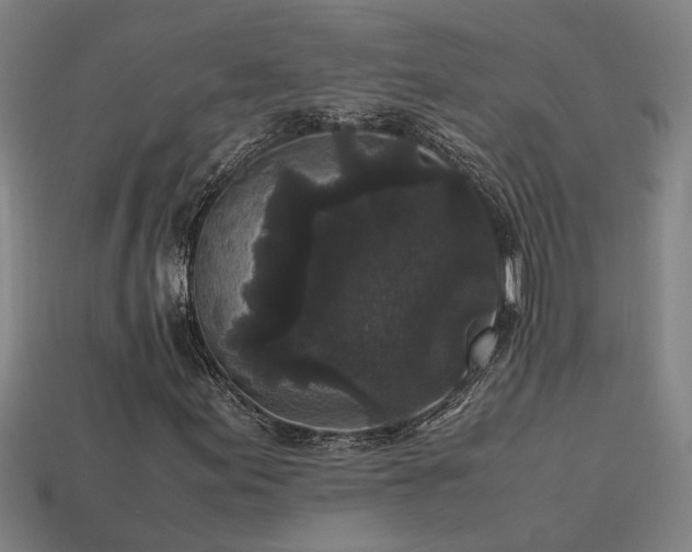 X0000113951155200909251333