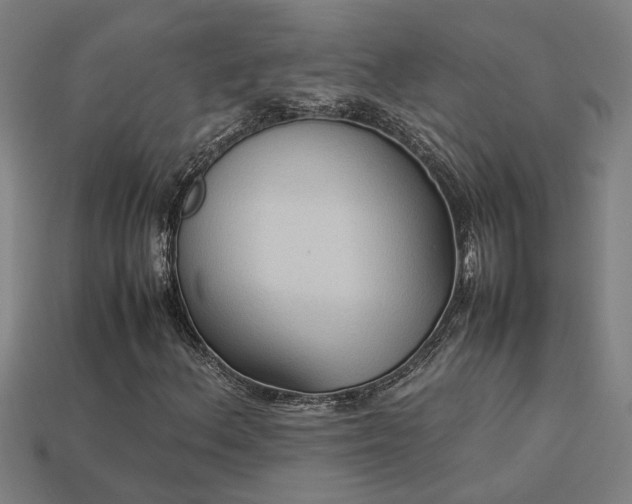 X0000113951156200909251333