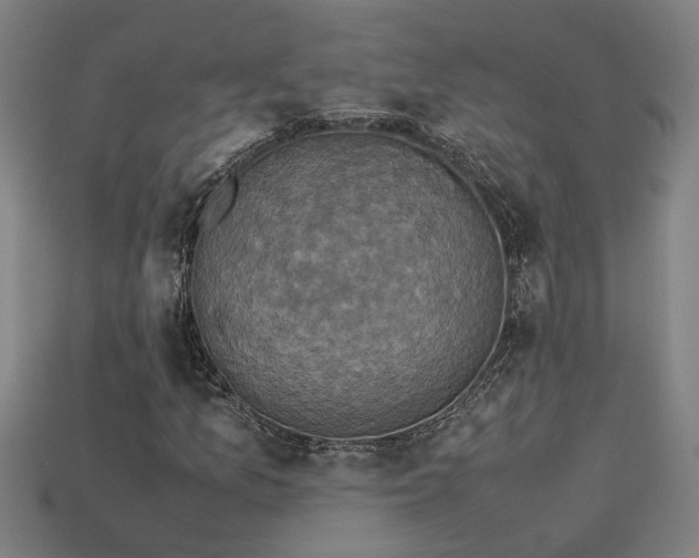 X0000113951157200909251333