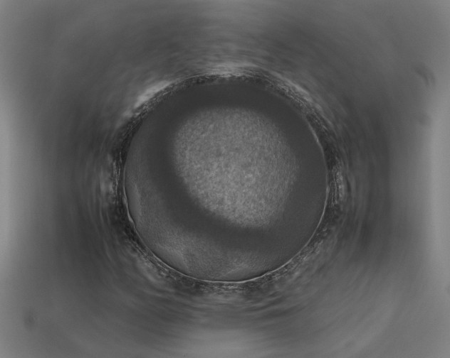 X0000113951158200909251333