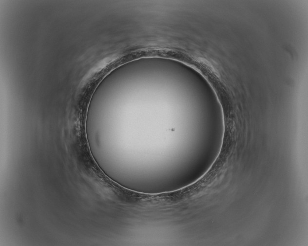 X0000113951159200909251333
