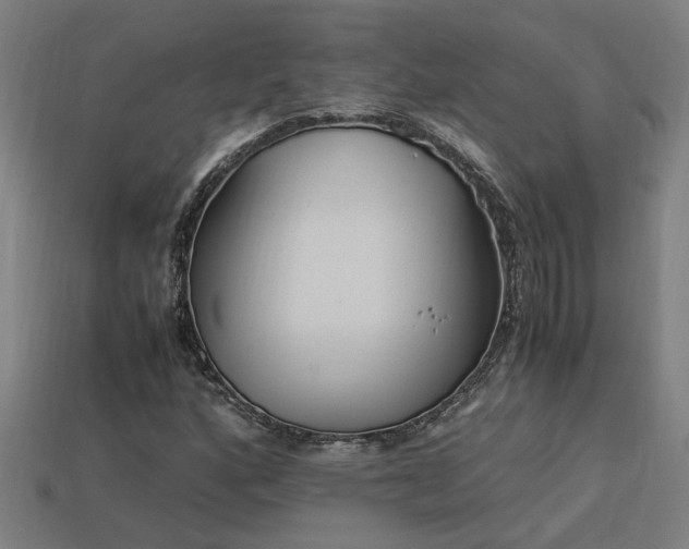 X0000113951160200909251333