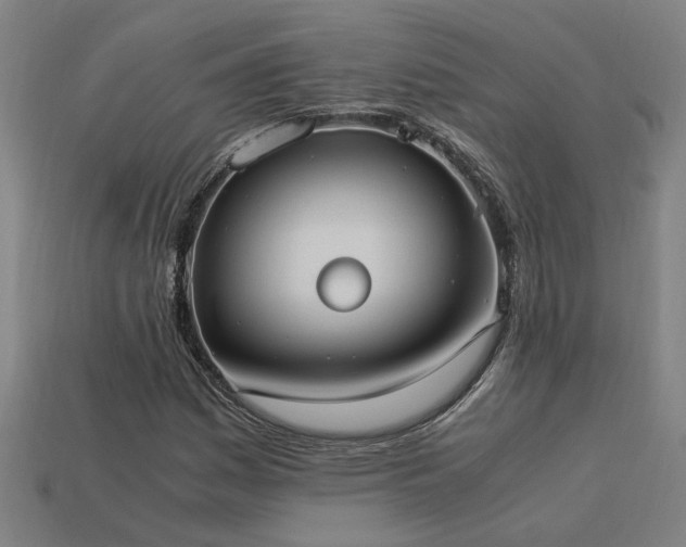 X0000113951161200909251333