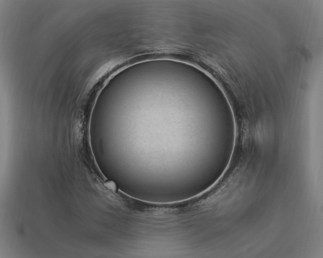 X0000113951163200909251333